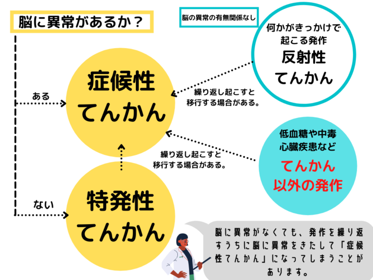 てんかんや発作を患う猫の管理