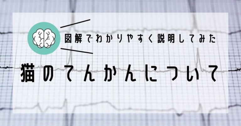 てんかんや発作を患う猫の管理