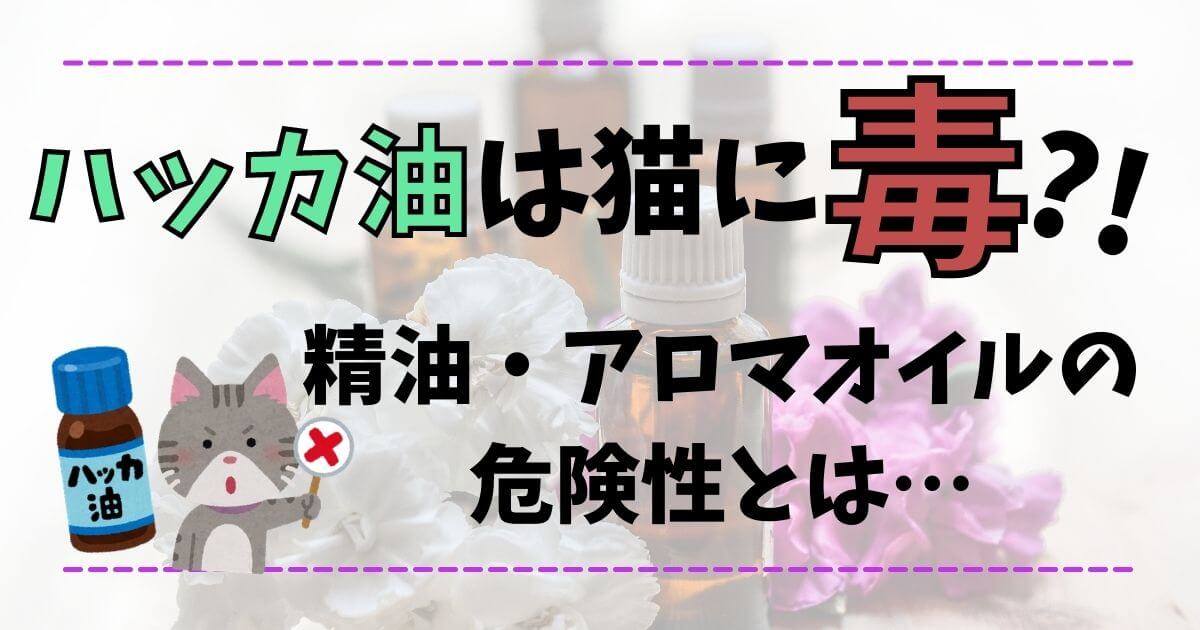 ハッカ油は猫に毒 精油 アロマオイルの危険性を知っておこう Nekoson Blog